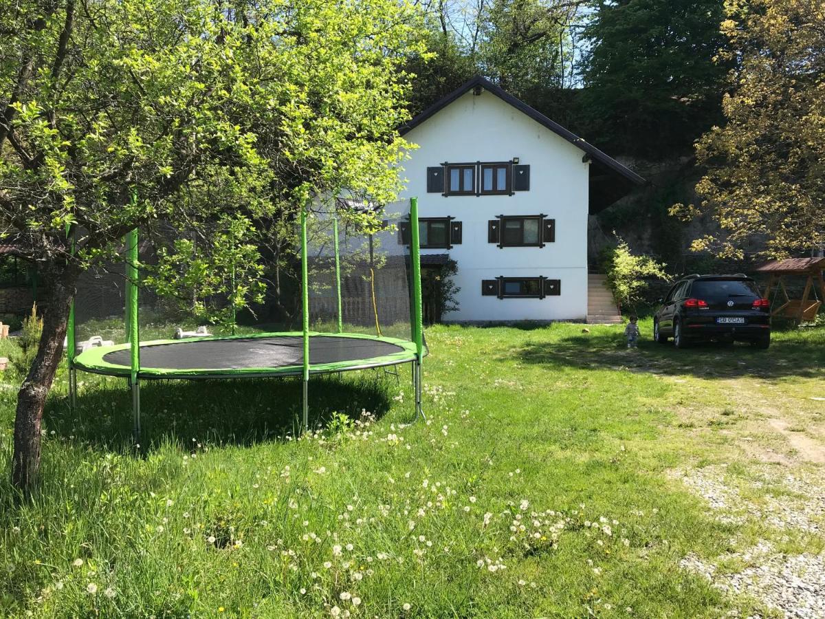 Casa Toma Βίλα Avrig Εξωτερικό φωτογραφία
