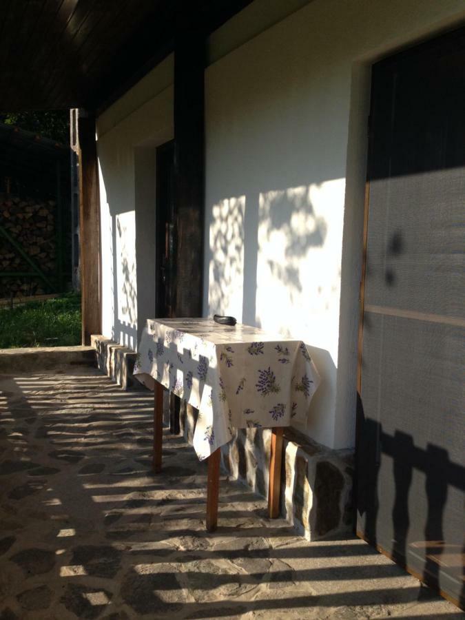 Casa Toma Βίλα Avrig Εξωτερικό φωτογραφία