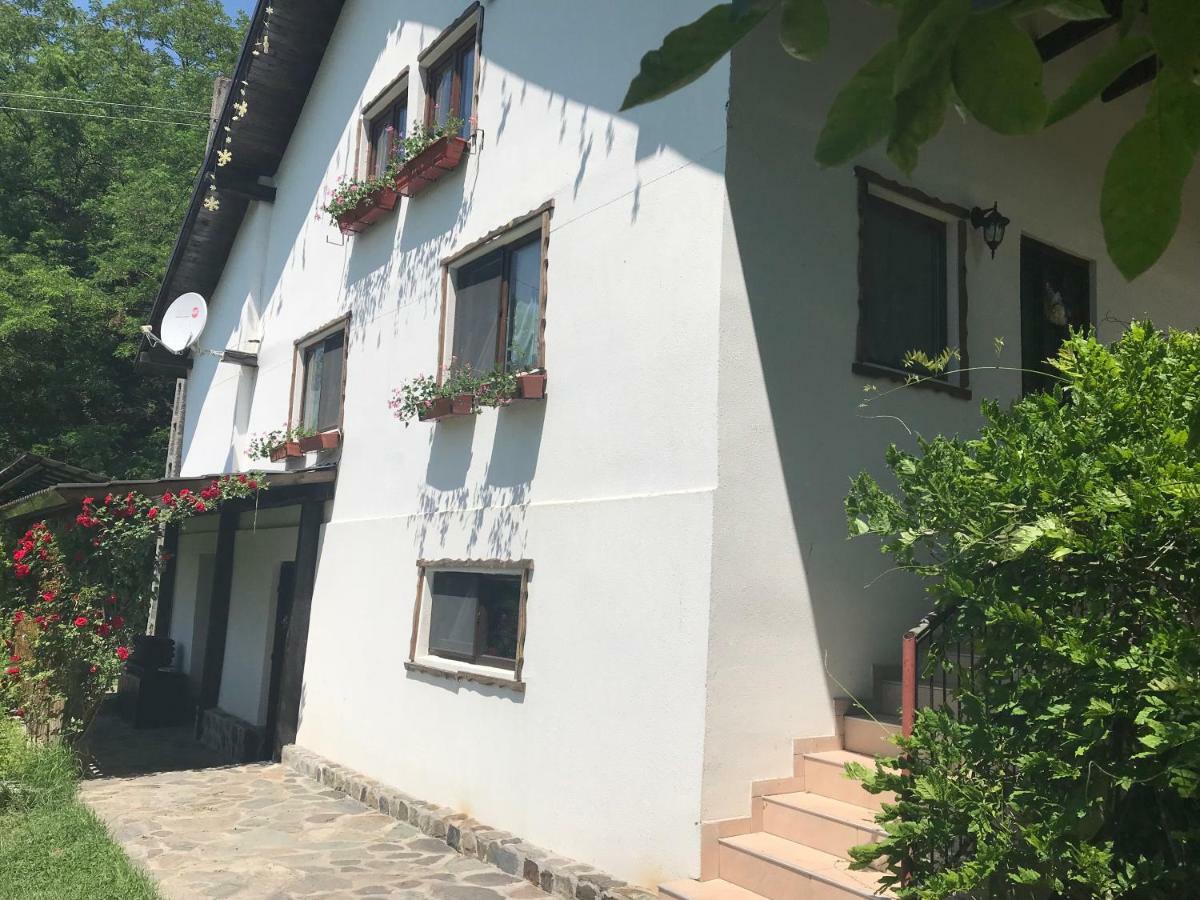 Casa Toma Βίλα Avrig Εξωτερικό φωτογραφία