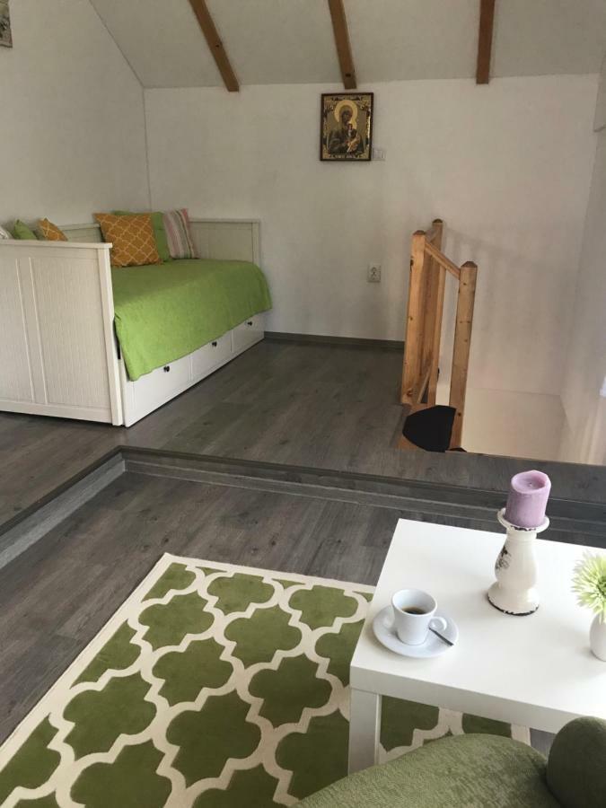 Casa Toma Βίλα Avrig Εξωτερικό φωτογραφία