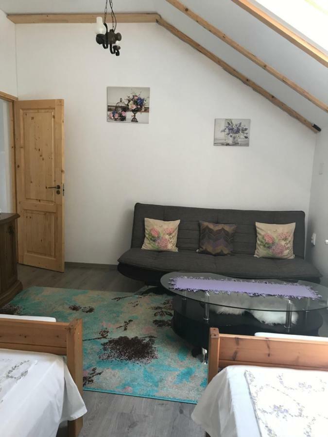 Casa Toma Βίλα Avrig Εξωτερικό φωτογραφία
