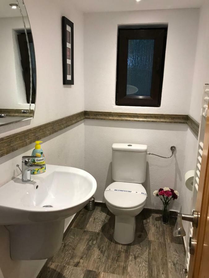 Casa Toma Βίλα Avrig Εξωτερικό φωτογραφία