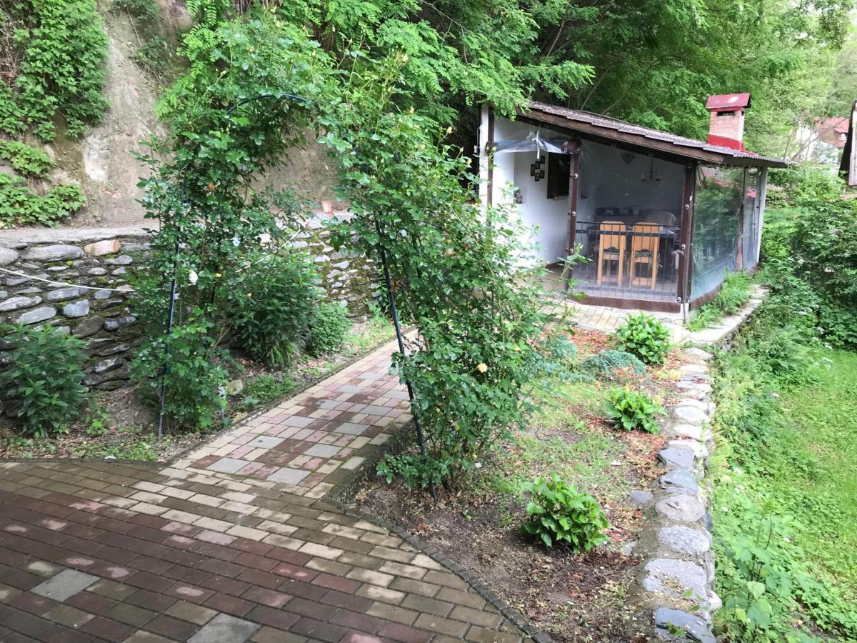 Casa Toma Βίλα Avrig Εξωτερικό φωτογραφία