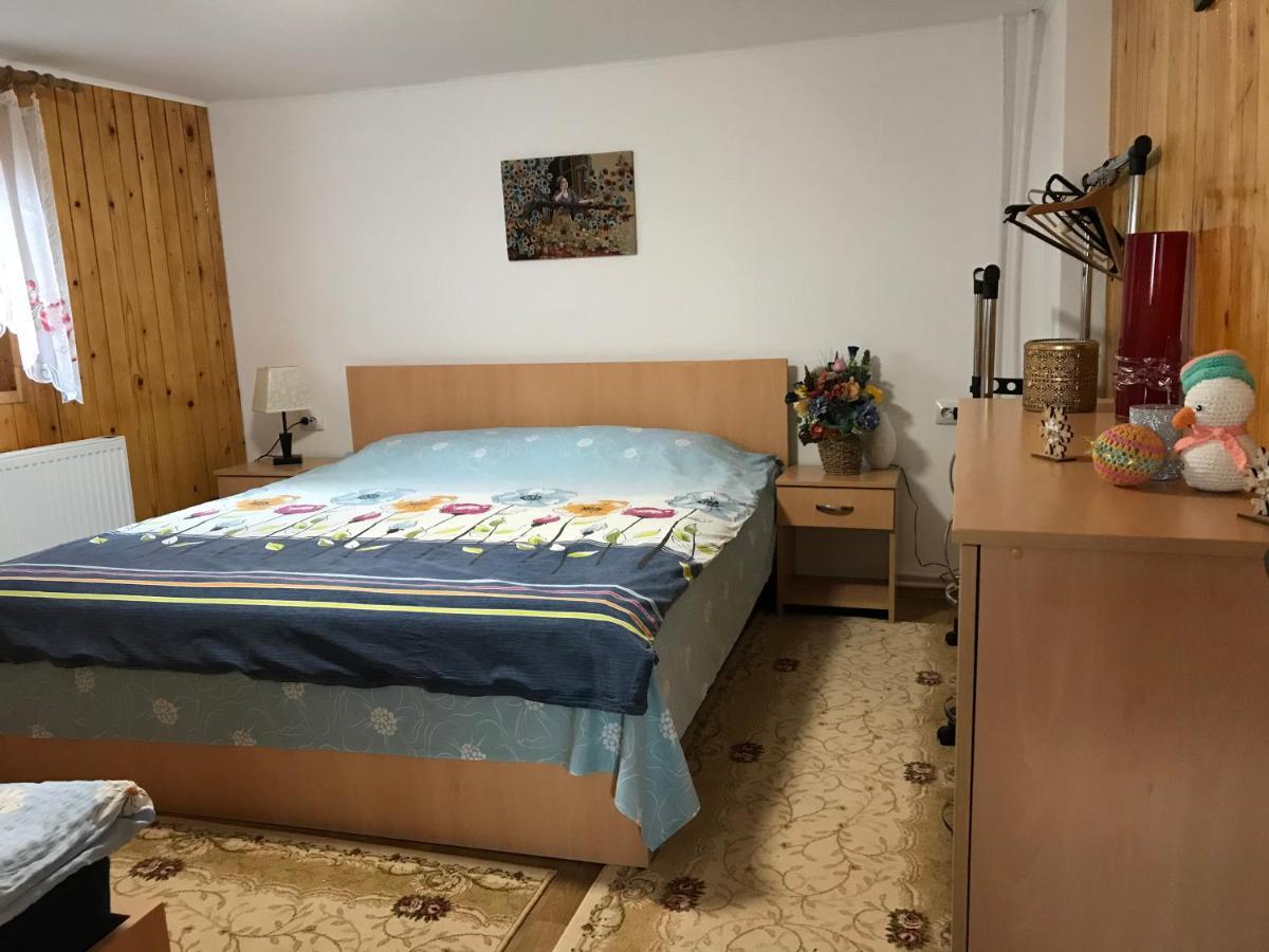 Casa Toma Βίλα Avrig Εξωτερικό φωτογραφία
